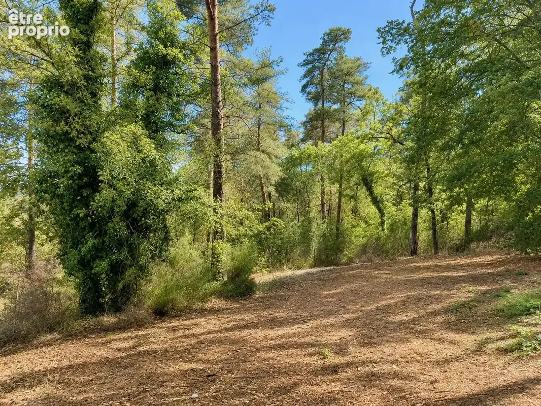 Acheres-la-foret (77760) proche milly-la-foret - photo 28