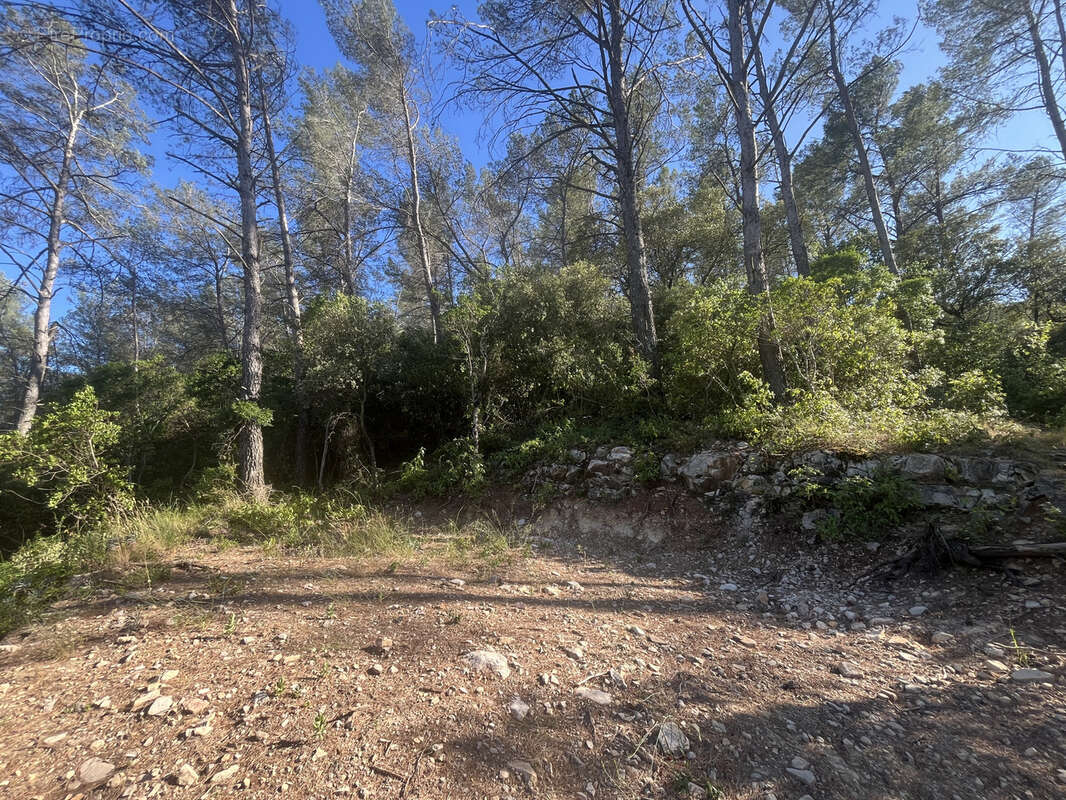 Terrain à BELGENTIER