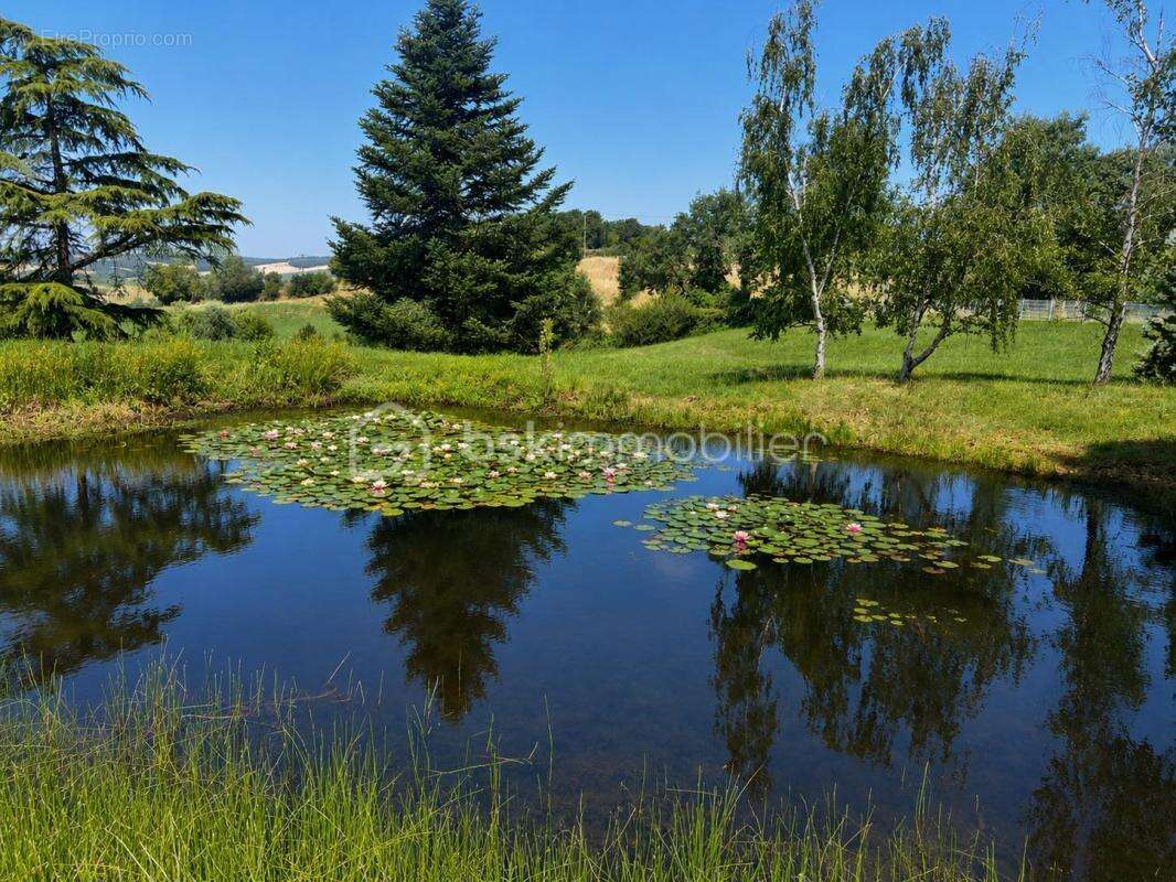 À 10 mns de Grenade . Magnifique Domaine - photo 2
