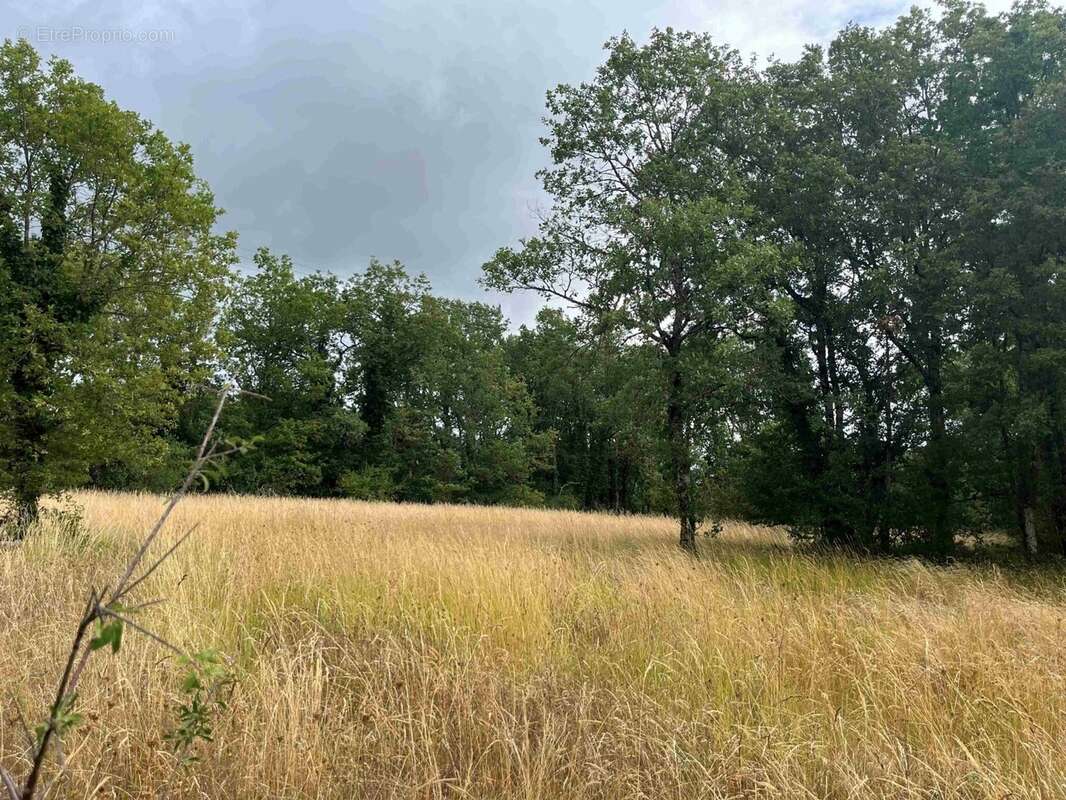 Terrain à CAHORS