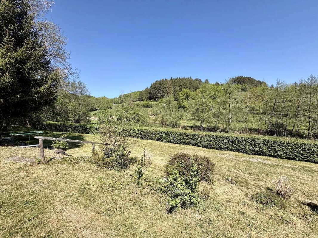 Maison authentique avec un grand terrain à vendre près d'Anost, Morvan - photo 29