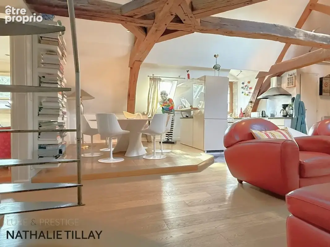Appartement esprit loft, a vendre, Face Loire Orleans, dernier etage en hotel particulier - photo 4