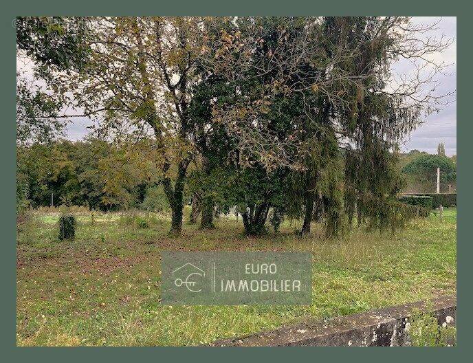 Terrain à BAZAS