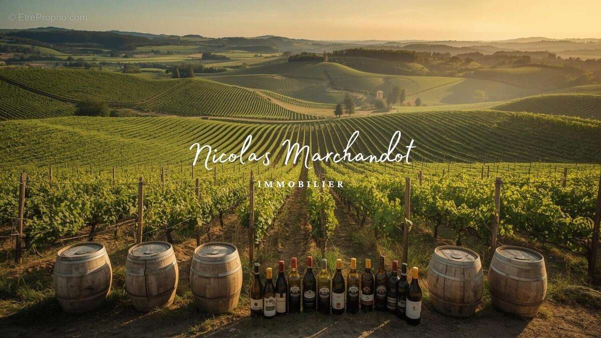 Photo 2 - Commerce à LANTIGNIE