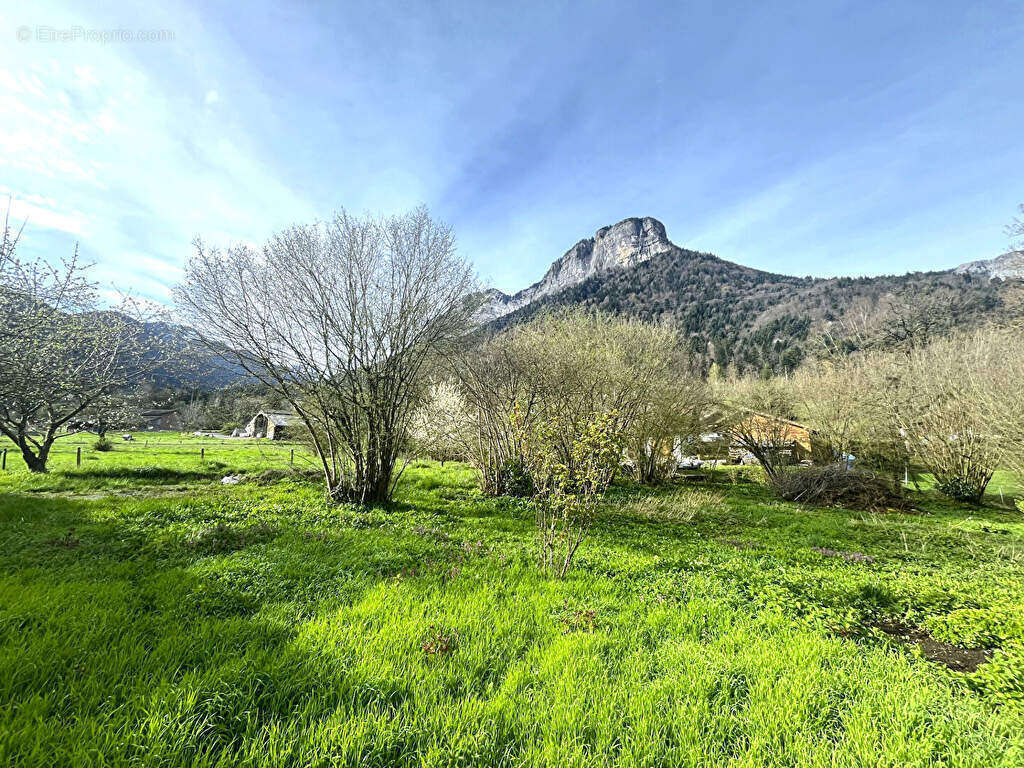 Terrain à DOUSSARD