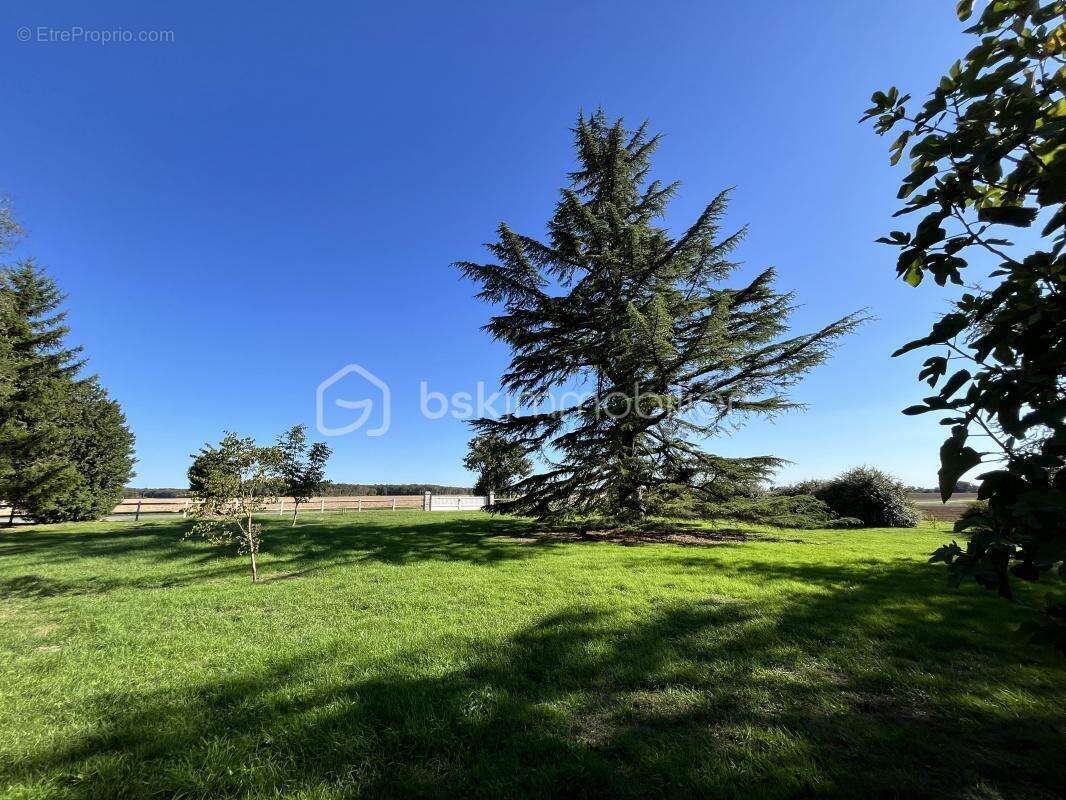 Maison à SAINT-MARTIN-DES-CHAMPS