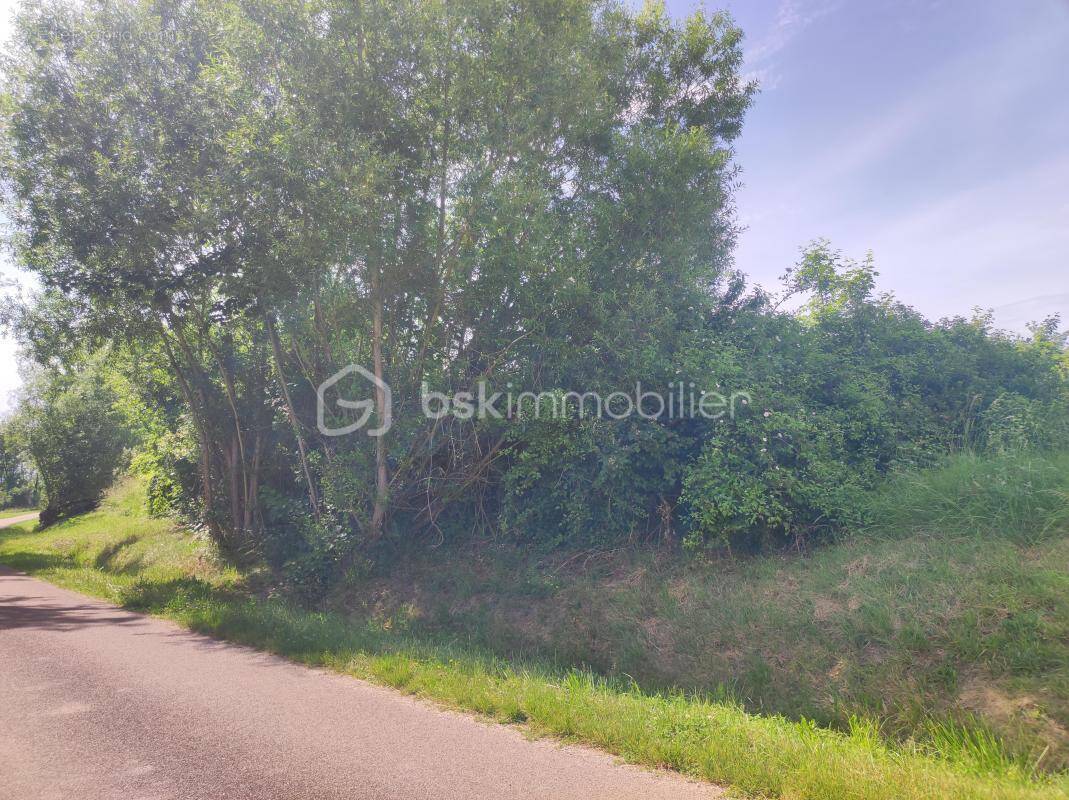 Terrain à SAINT-FLORENTIN