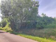 Terrain à SAINT-FLORENTIN