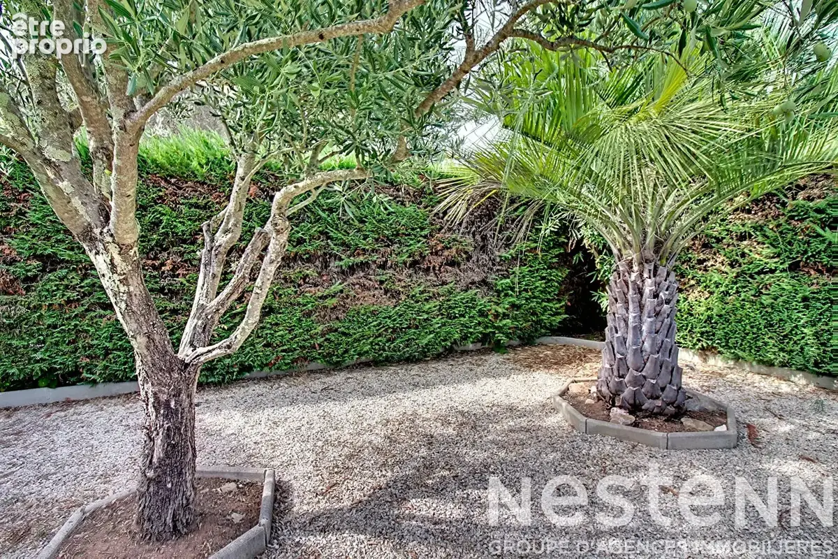 A VENDRE - Maison Vidauban 5 pièces 123m2, piscine , garage  , sous sol  et cave. - photo 21