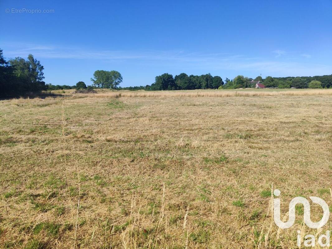 Photo 1 - Terrain à CHANTEAU