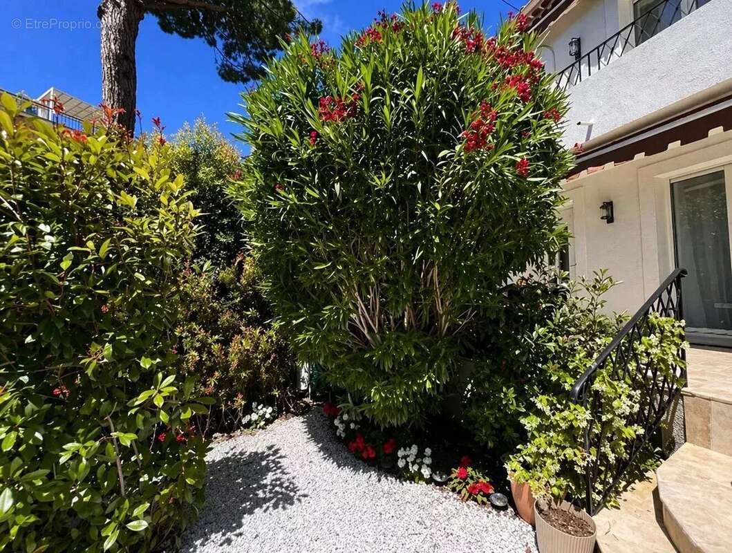 Maison à CANNES