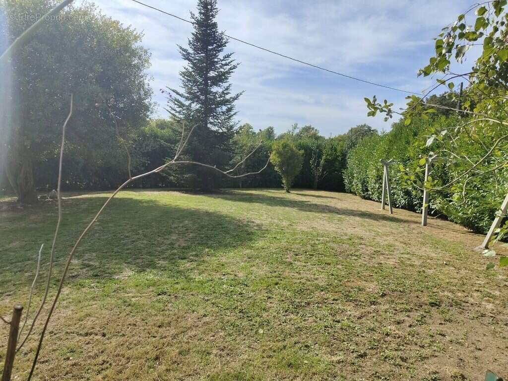 Terrain à REDON