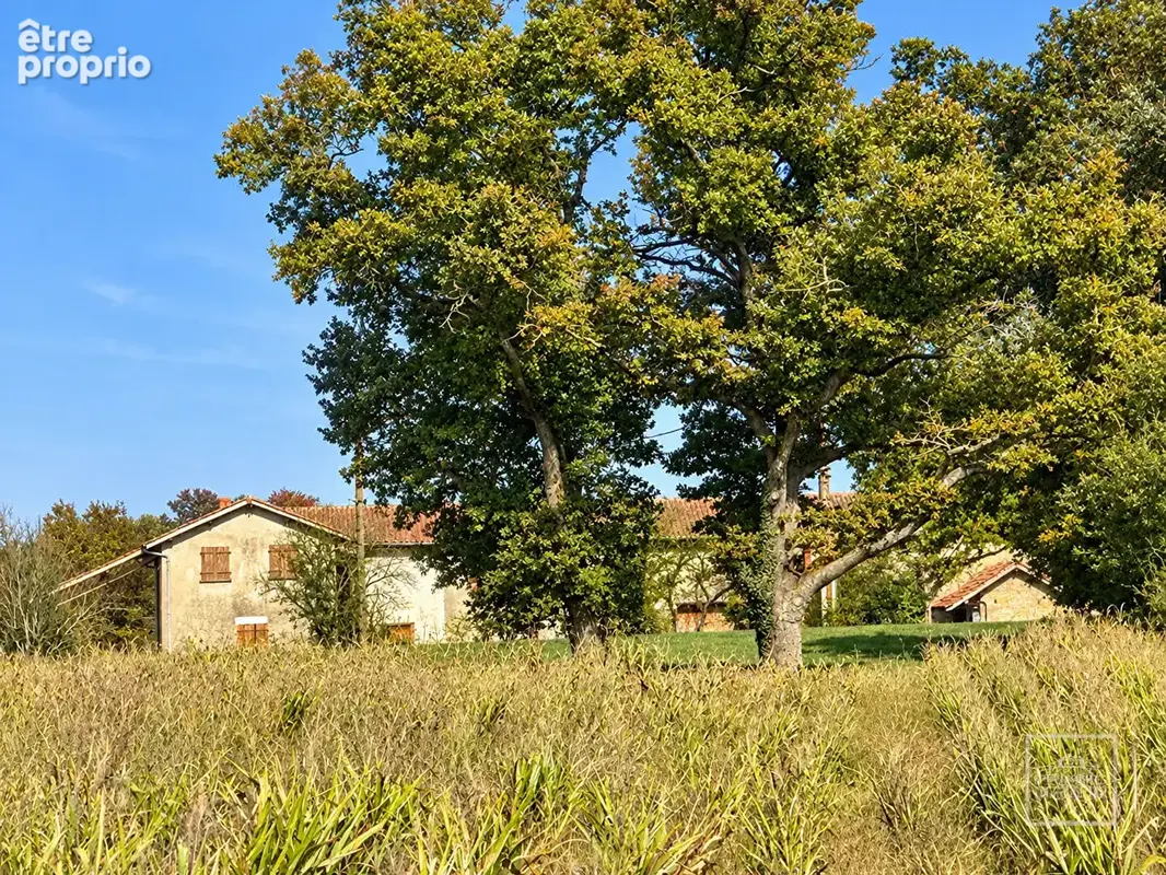 Lapeyrouse, Domain de 118hectares, avec étang et terrain de chasse - photo 12