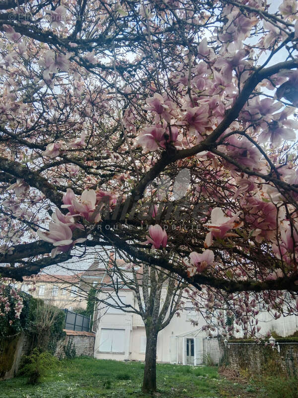 Maison à LUXEUIL-LES-BAINS
