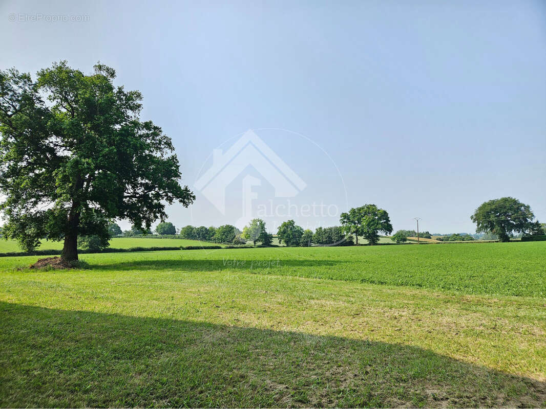 Maison à MONTAIGU-LE-BLIN