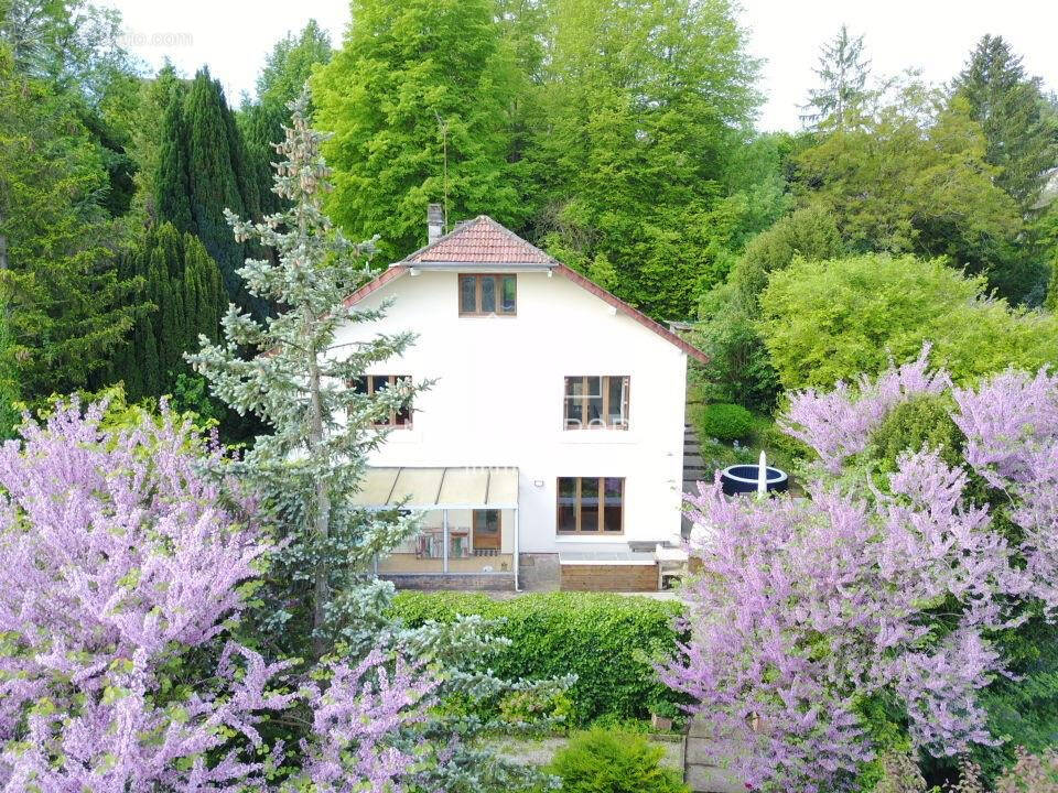 Maison à ESBLY