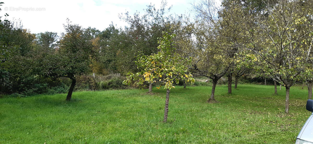 Terrain à LUNEVILLE