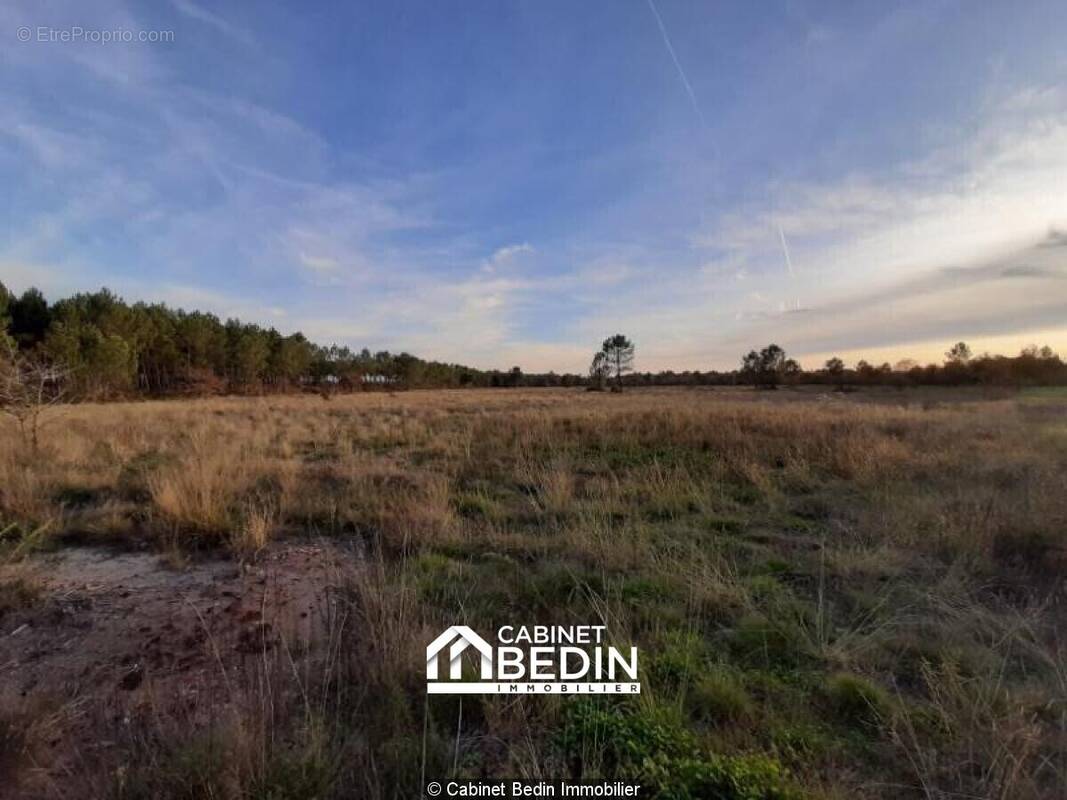 Terrain à GUJAN-MESTRAS