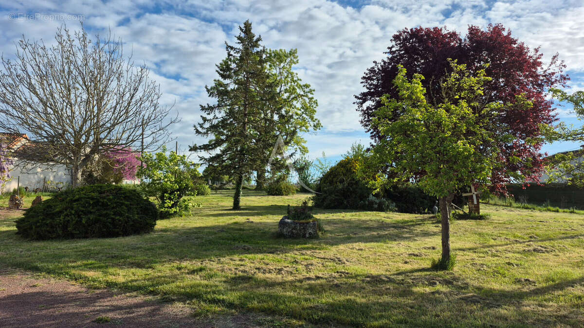 Maison à JARNAC-CHAMPAGNE