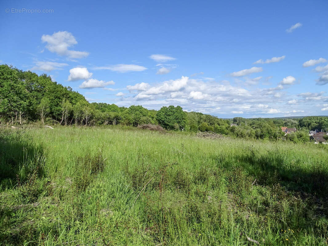 Terrain à MENNETOU-SUR-CHER