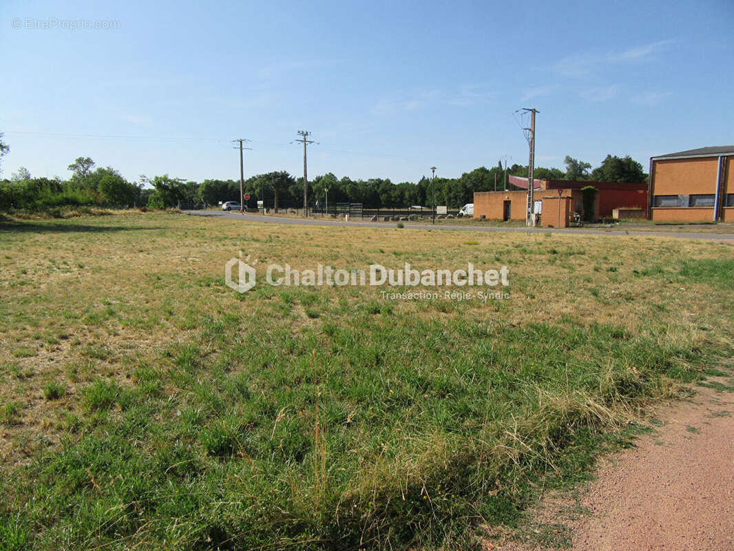Terrain Pouilly Les Nonains 3000 m2 - photo 5