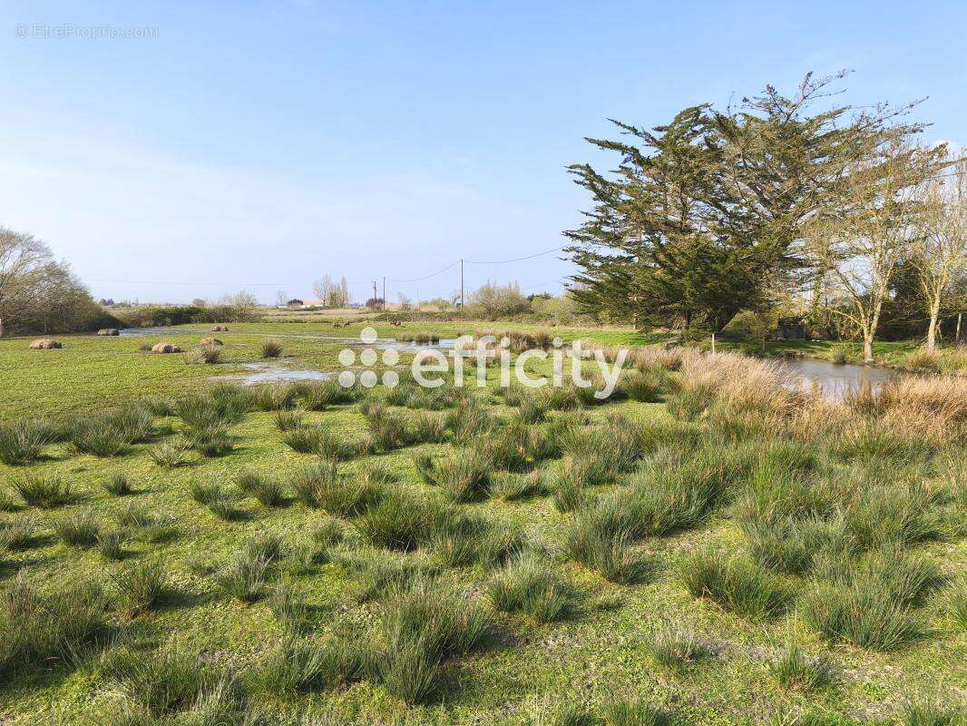 Maison à SAINT-GERVAIS