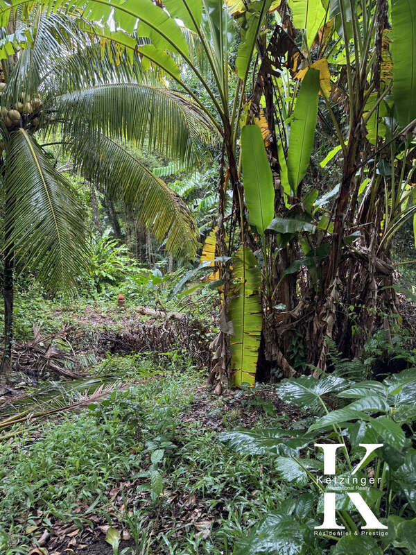 Terrain à LA TRINITE