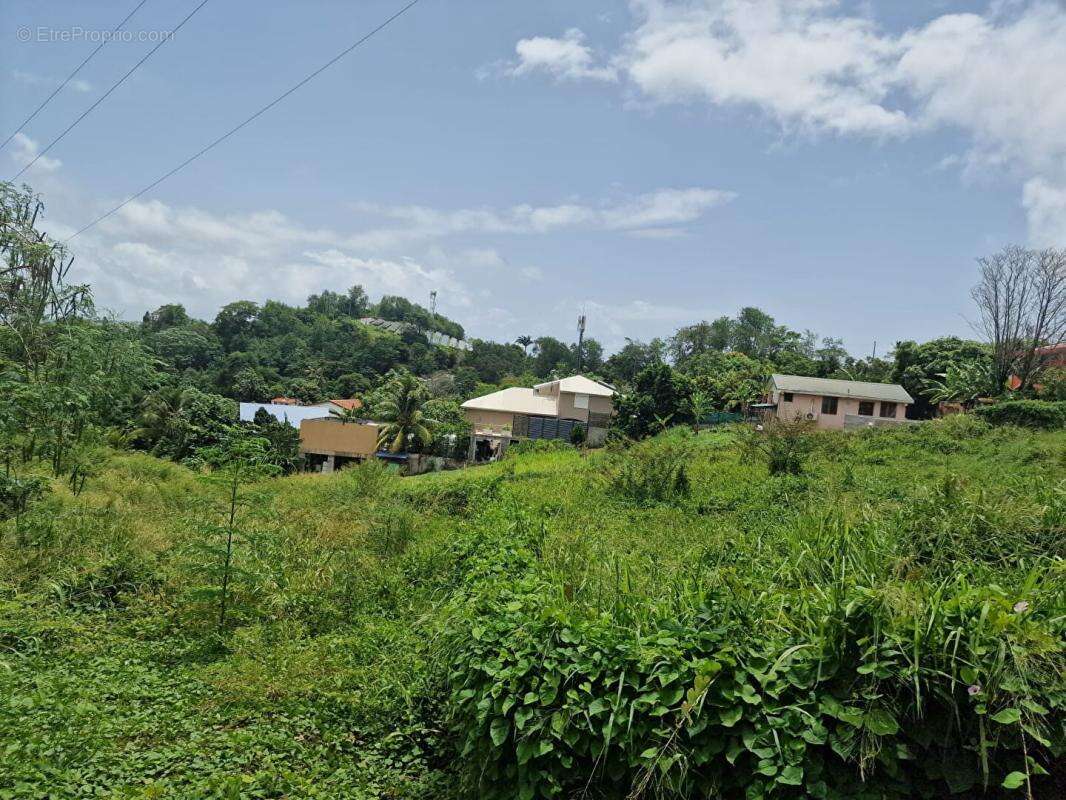 Photo Terrain à Le Robert au prix de 91 000€