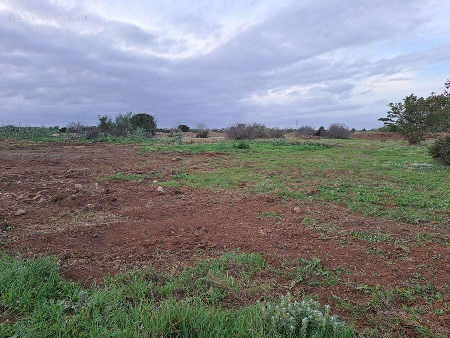 Terrain à FOS-SUR-MER