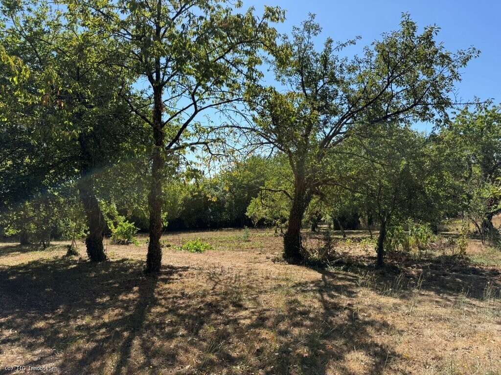 Maison de Campagne au Calme Avec 3 Chambres et Terrain - photo 29