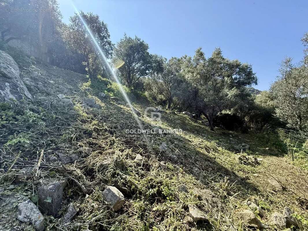 Terrain à MONTICELLO