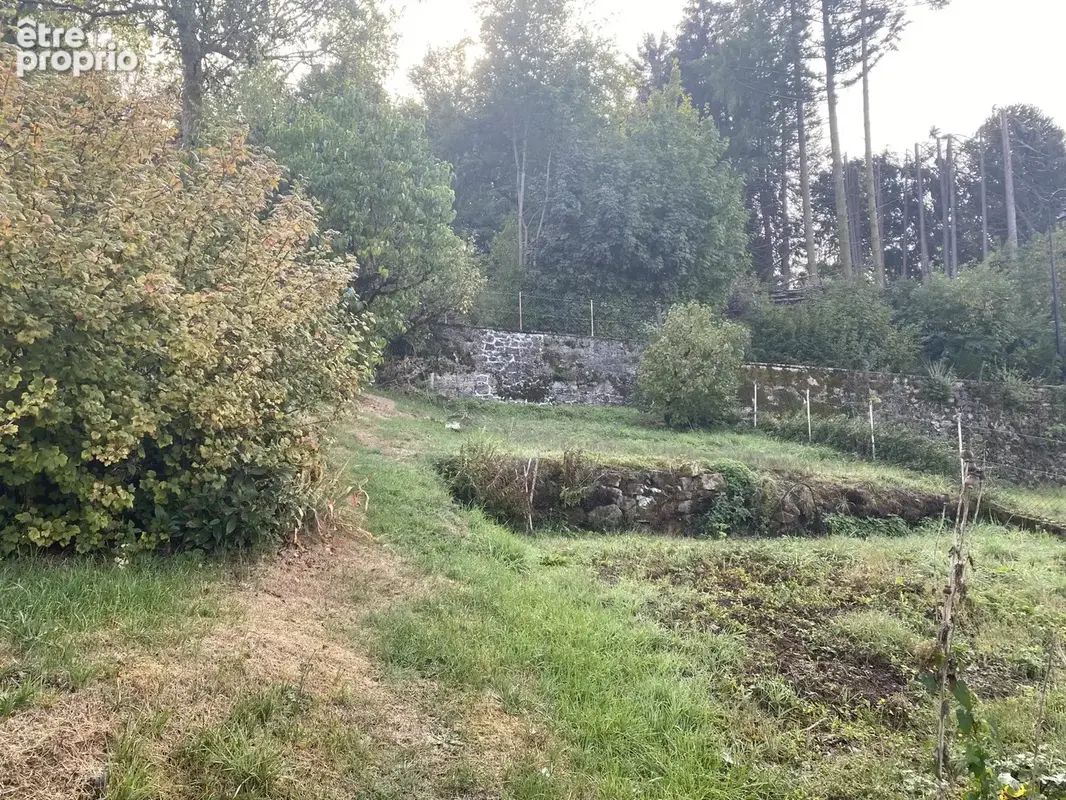 Maison 4 pièces 80 m² à vendre à Bugeat (19170) - photo 6