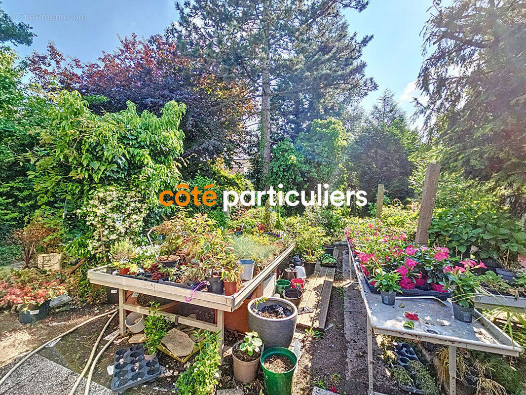 Commerce à LA CHAPELLE-D&#039;ARMENTIERES