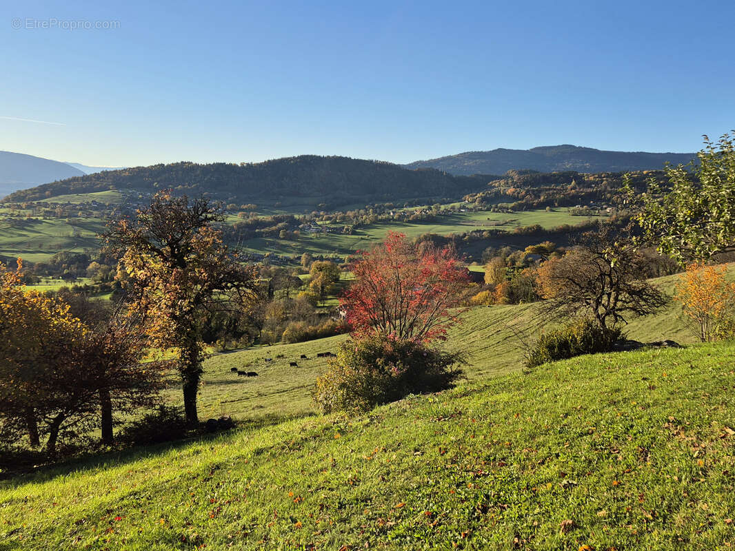 Maison à VIUZ-EN-SALLAZ