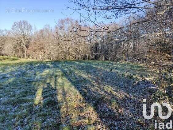 Photo 5 - Terrain à DOMME