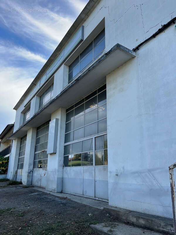 Commerce à GIMONT