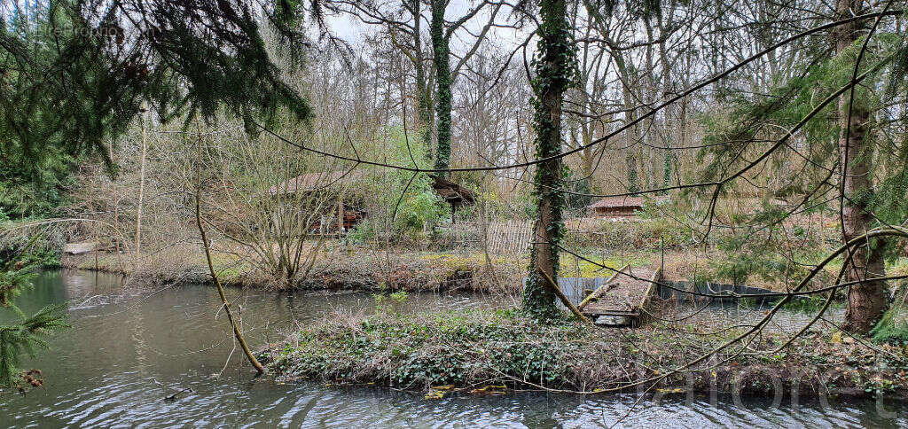 Terrain à NOISY-SUR-ECOLE