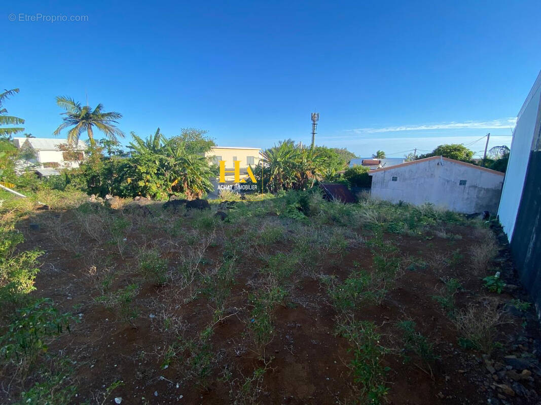 Terrain à SAINT-JOSEPH