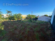 Terrain à SAINT-JOSEPH