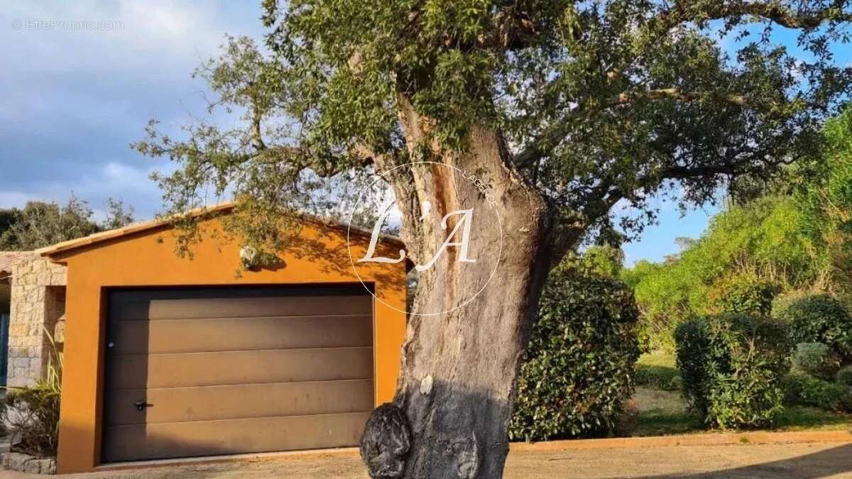 Maison à PORTO-VECCHIO