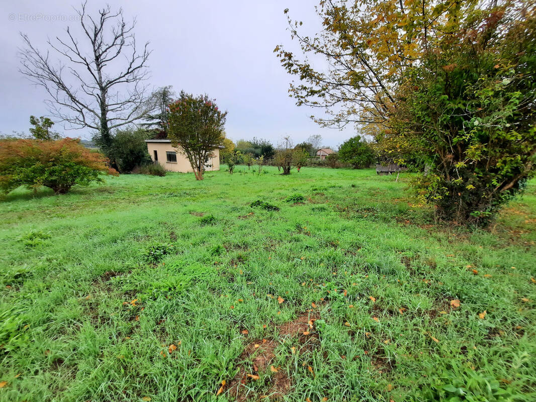 Terrain à PELLEGRUE