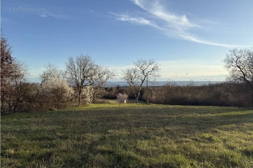 Terrain à LABECEDE-LAURAGAIS