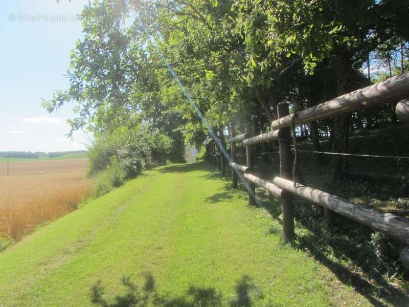 Domaine Equestre avec Gites 20min Châtellerault - photo 28