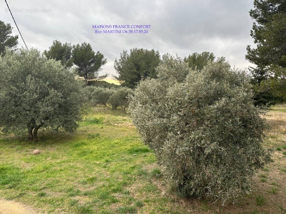 Terrain à SAINT-CHAMAS