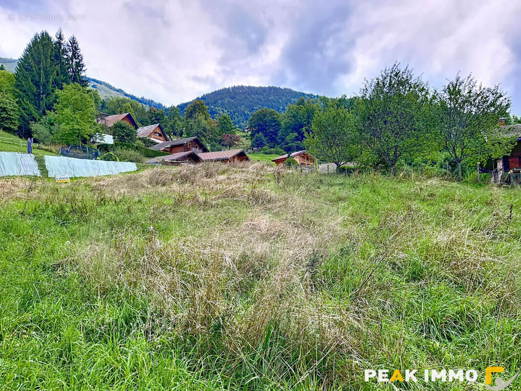 Terrain à LE BOUCHET