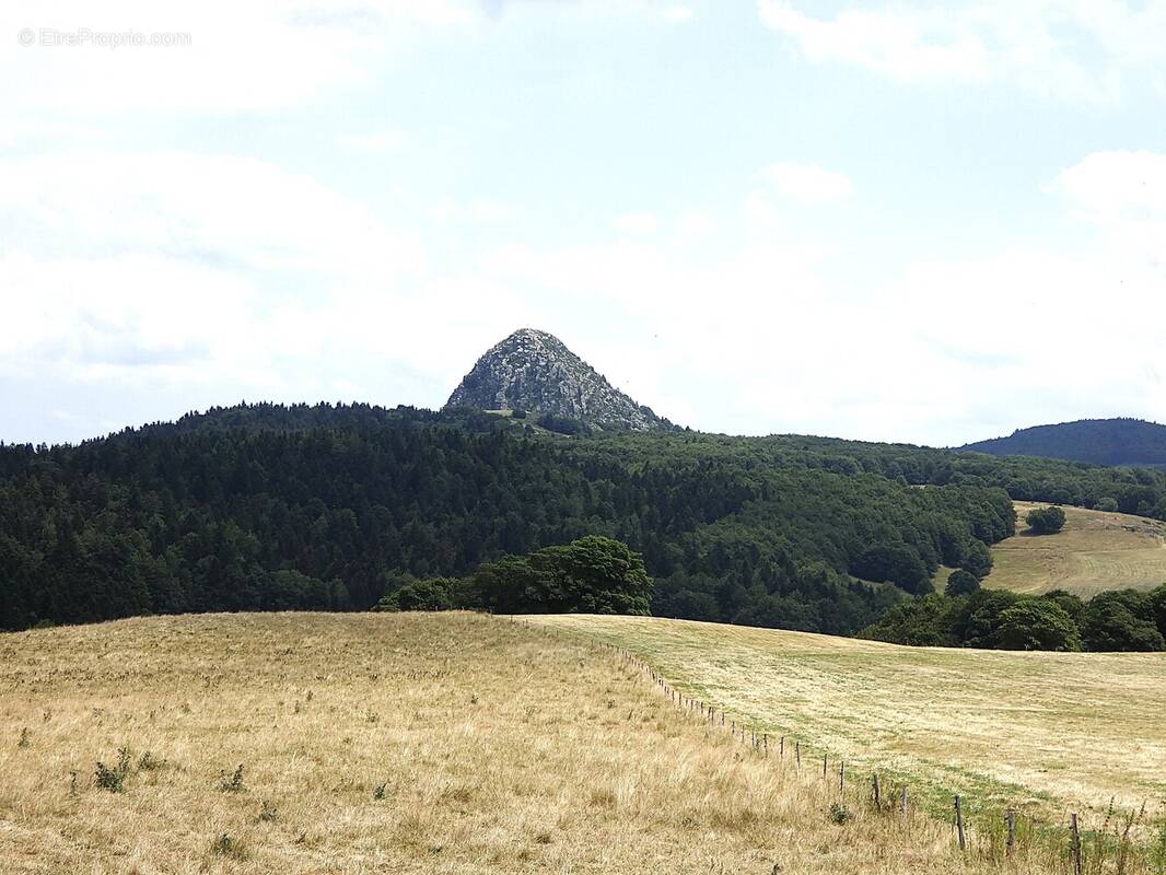 (1460 m²) Ancienne ferme avec vue sur le Mont Gerbier de Jonc  - photo 2