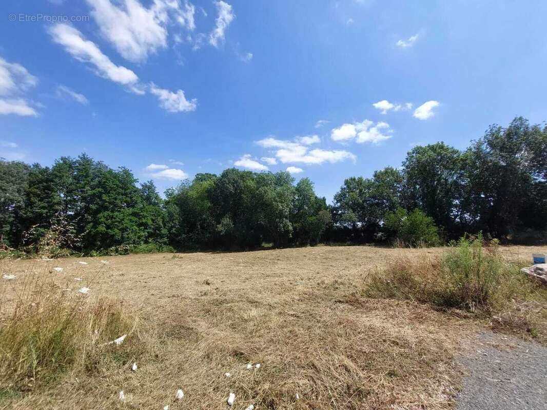 Terrain à SAINT-DENIS-LA-CHEVASSE