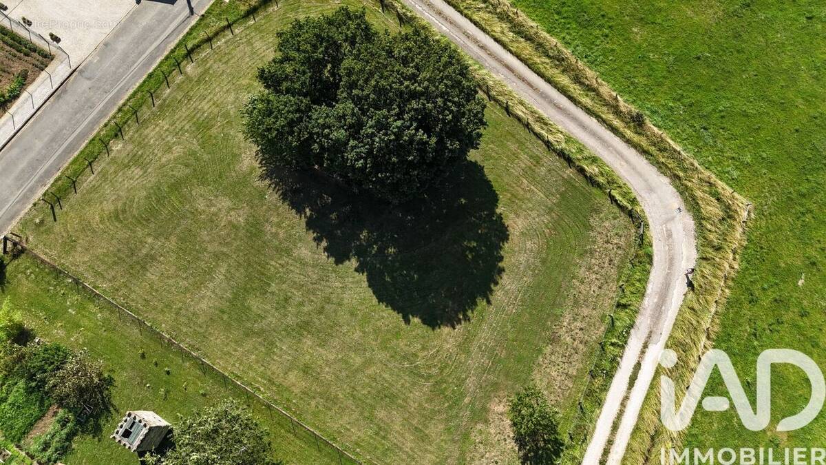 Photo 1 - Terrain à CELLES-EN-BASSIGNY