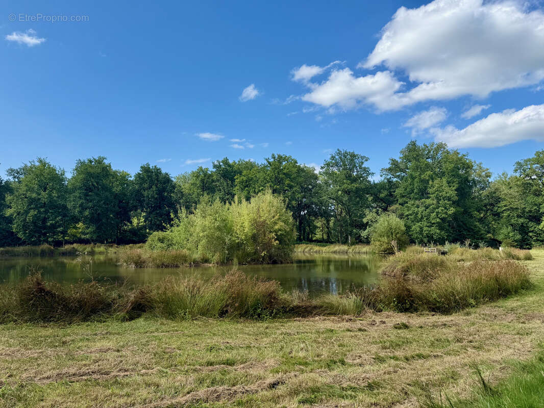Terrain à MONTIGNE-LES-RAIRIES