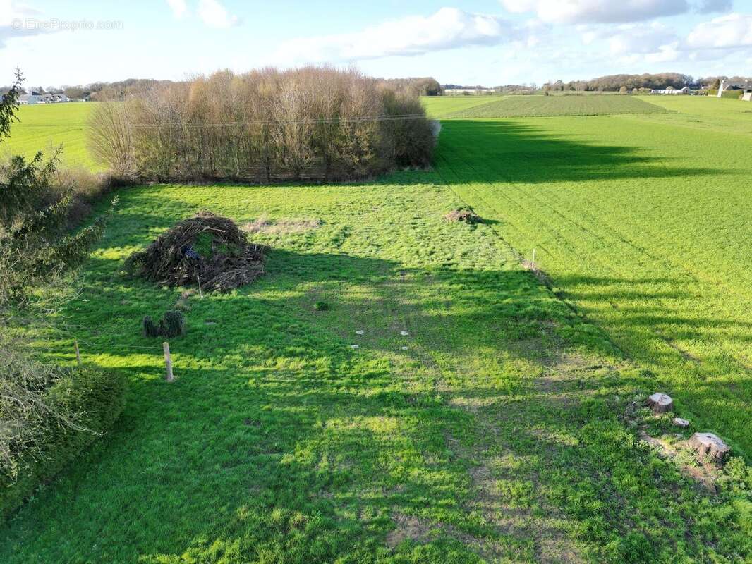 terrain 1 - Maison à PIPRIAC